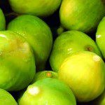 Fichi-bianco del cilento