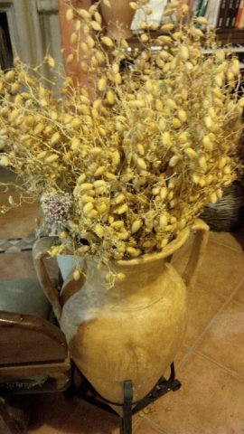 Giovanna Voria e la sua Corbella dimenticata nel Cilento