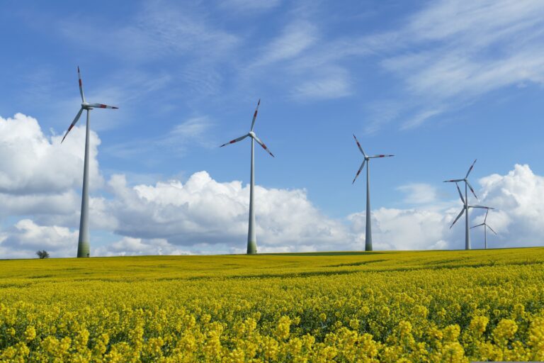 Resilienza ed energia eolica, le rinnovabili che fanno bene al cuore