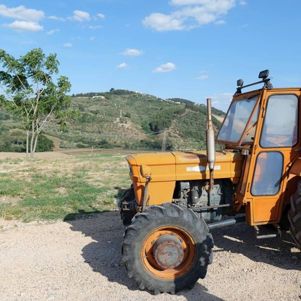 Forneria agricola Caccioppoli