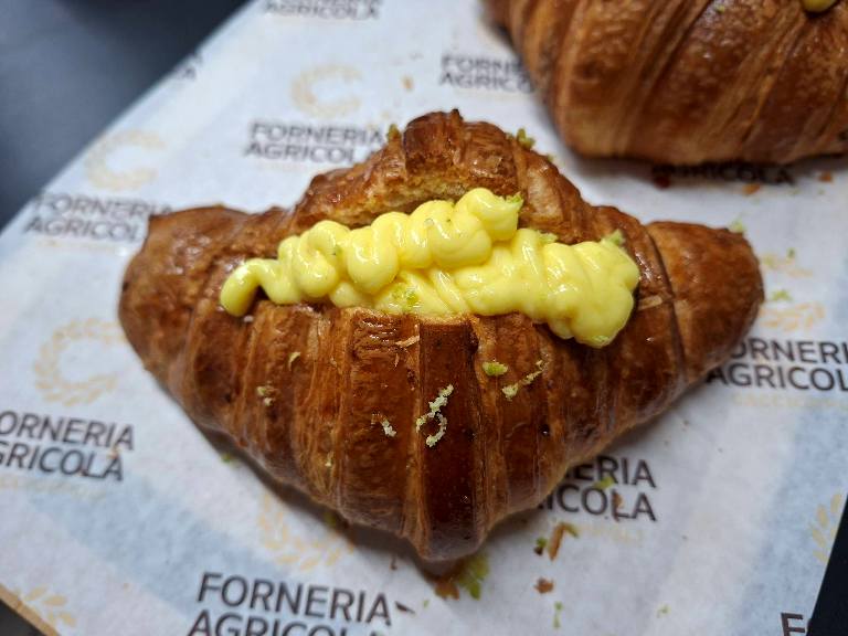 Forneria agricola Caccioppoli