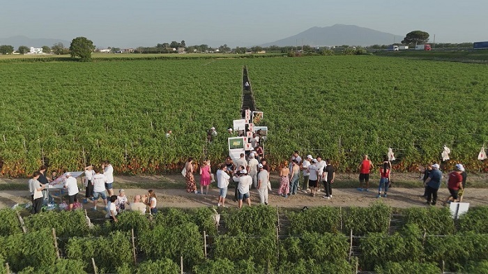 San Marzano Land
