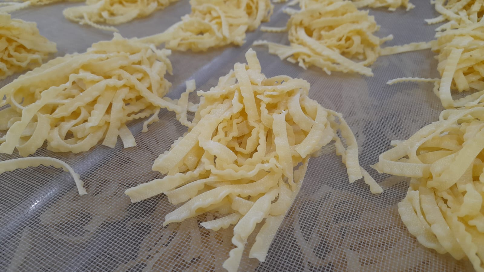 La magia della pasta trafilata al bronzo di Gragnano prende forma a tavola con “Praesentia”