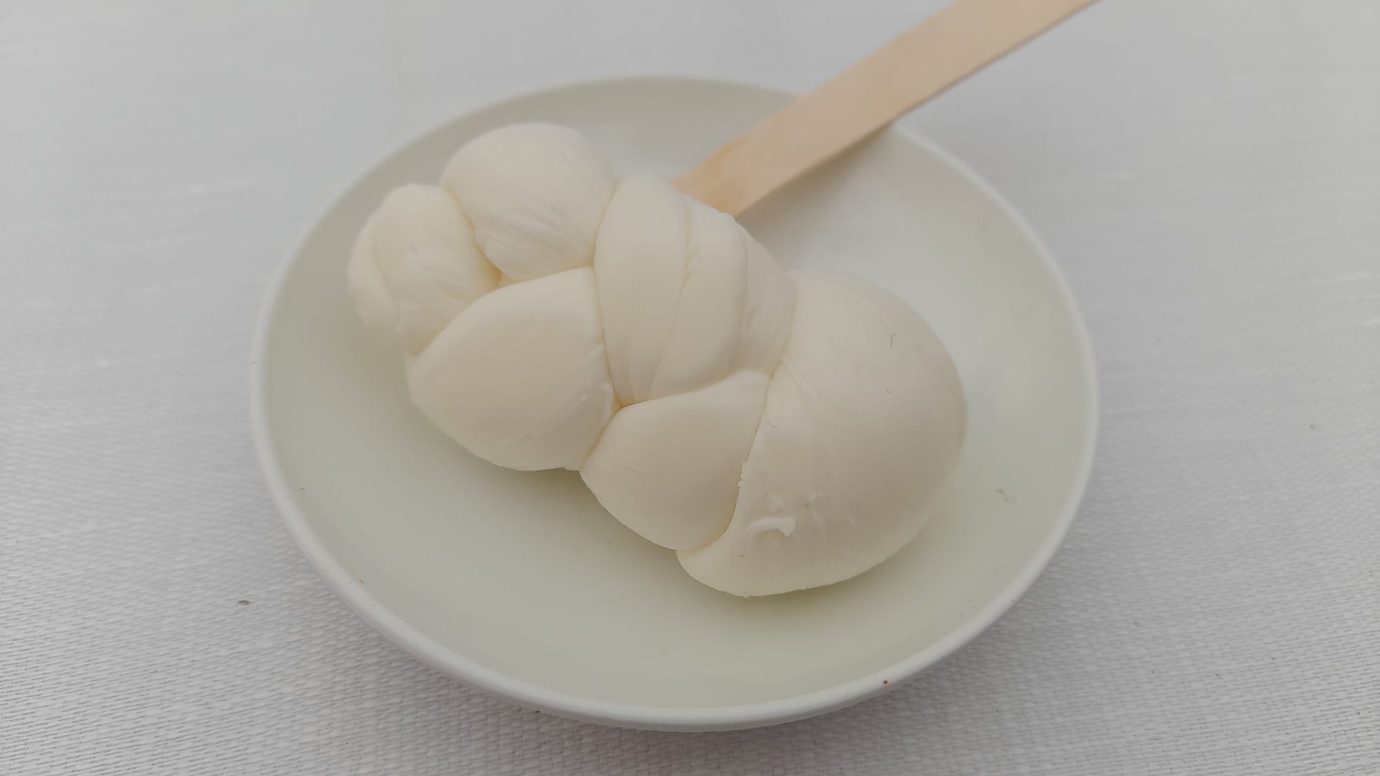 Praesentia
