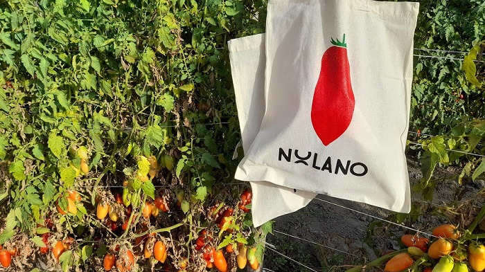 san marzano land nolano